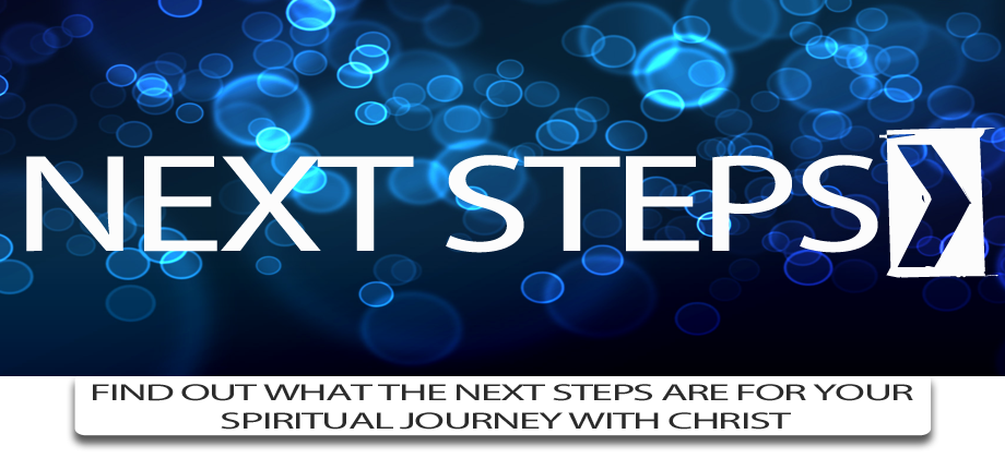 Next-steps-banner-web22